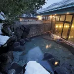 Fujiya Hotel - Hot Springs