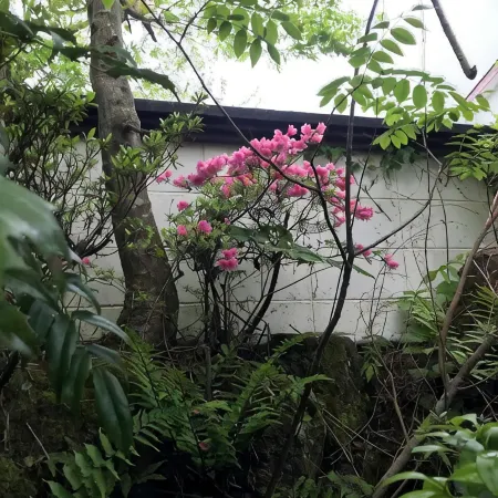 RB HOTEL Dakeonsen