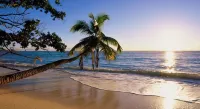 Royale Suites by Arc Royal Luxury Apts - Beach