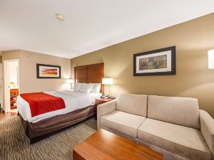 Comfort Inn Greenville - Haywood Mall