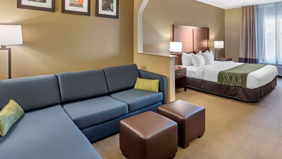 Comfort Inn & Suites Lincoln Talladega I-20