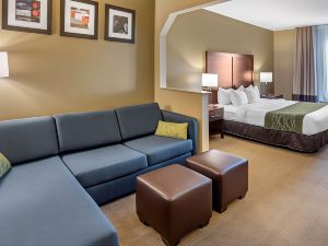 Comfort Inn & Suites Lincoln Talladega I-20