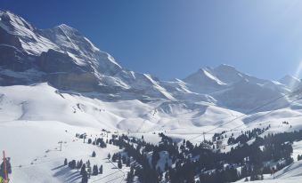 Hotel and Spa Silberhorn