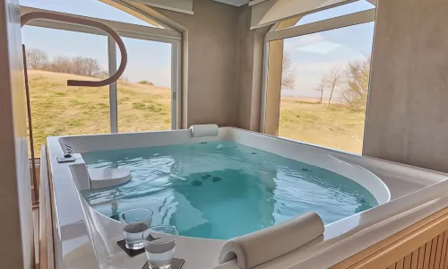 Hotel Termas Victoria Wellness Spa