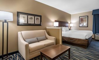 Comfort Inn & Suites Newark - Wilmington