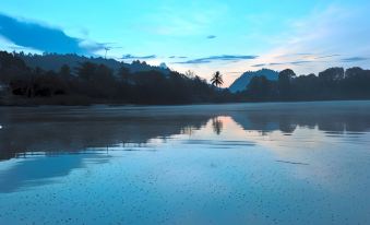 a serene landscape of a lake with mountains in the background and a tree reflected in the water at Borneo Natural Sukau Bilit Resort