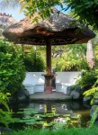 Poppies Bali