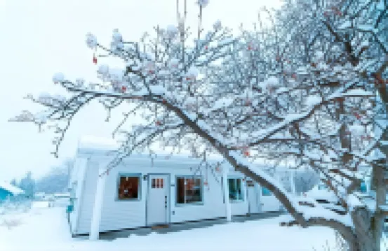 コロニー スイーツ