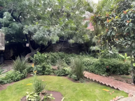 La Casa de Los Mangos Ajijic