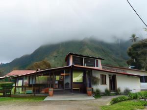 Palmas de Cocora