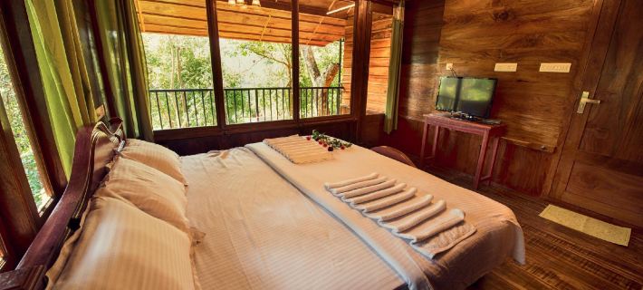 Planet Green Plantation Resorts, Wayanad, Kerala Ξενοδοχεία στην πόλη Kalpetta