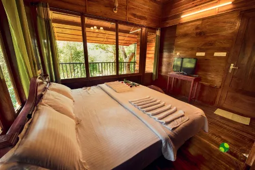 Planet Green Plantation Resorts, Wayanad, Kerala - Rooftop Pools