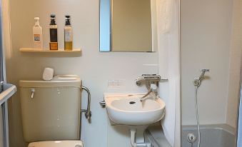 Business Hotel Rupinasu