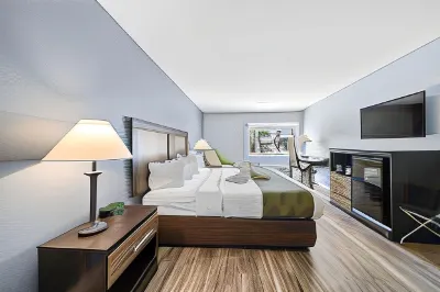 Quality Inn & Suites Tampa-Ybor City Hotels in Tampa