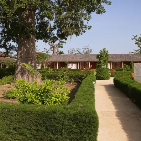 Baobab Soleil