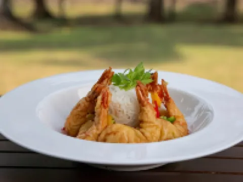 パーム ビーチ イン アンド シー シェルズ カバナス ベントータのホテル