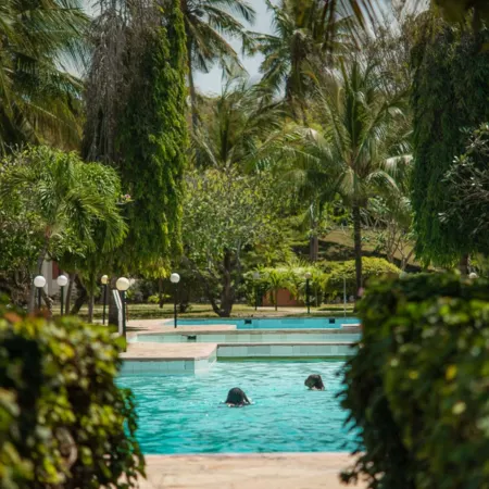 Bahari Dhow Beach Villas