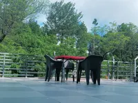 Sunny Pines Resort Hotels in Lansdowne