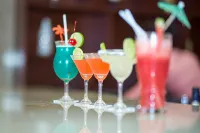 帕克松丹加爾姆飯店 - 酒吧