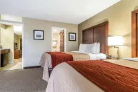Comfort Inn & Suites - Wifi