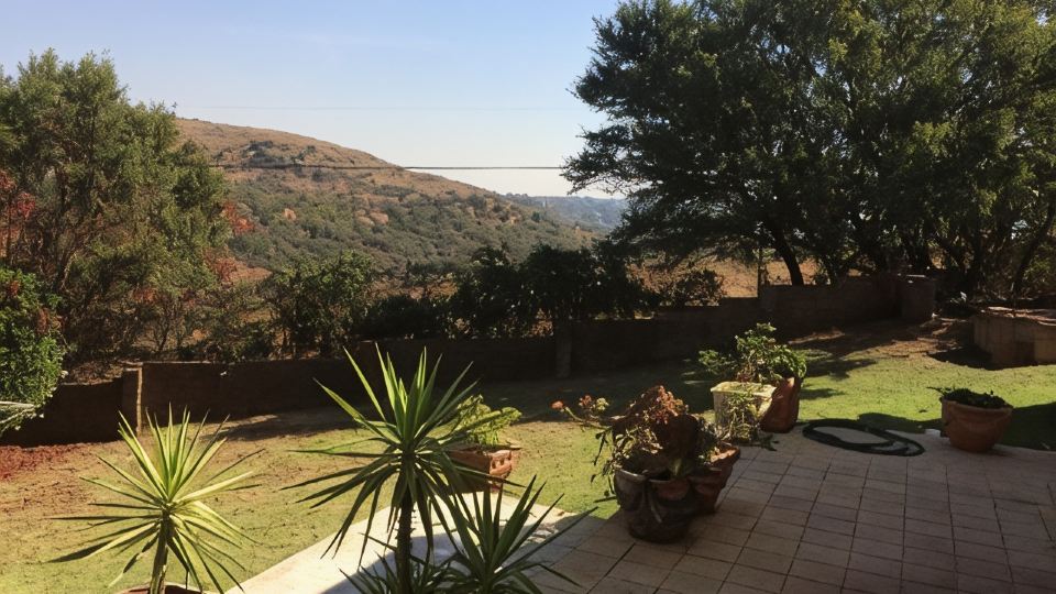 At the View B&B