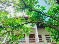 Rich Resort & Restaurant - Resorts