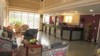 Inter Park Hotel Hotels in Ponta Pora