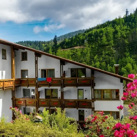 Holzschuh Schwarzwaldhotel