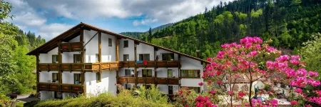 Holzschuh Schwarzwaldhotel Отели в г. Шёнмюнцах