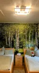Vacation home "Fuxbau" close to nature on the edge of the Dahlener Heide - Homestays