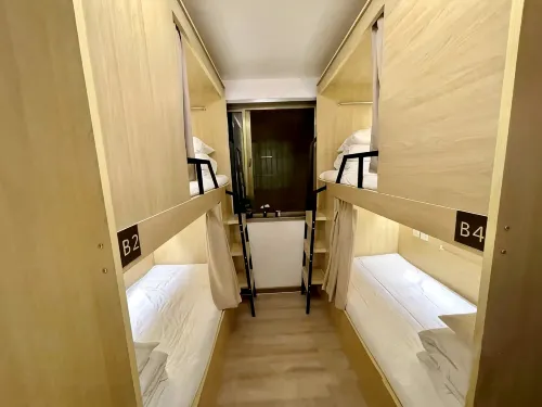 Light Chaser Youth Homestay (Nanjing Railway Station Hongshan Zoo Branch) - Hostellit