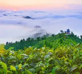 Yinghui Manor - con vistas a la montaña