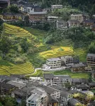 Longsheng Longji rice homestay - pet friendly