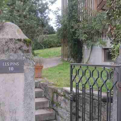 Geneva Cologny les pins Others