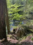 Dragon’s Nest on River. Quiet Get-away - Gym