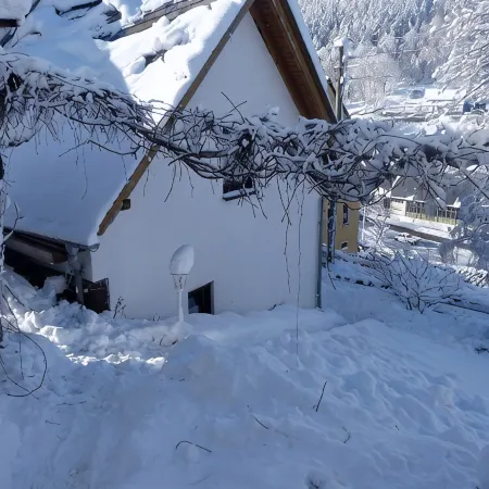 Comfortable summer cottage in a beautiful surrounding