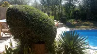 Cozy and tranquil estate with Wifi - Villas