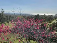 Beaches / Family Getaway / Amazing views / Golf / Wineries / Hot springs. - Wifi