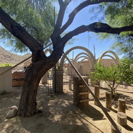 Private 2.5-Acre Retreat with Lush Palms, Pool, Play Train & Tortoises