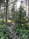 Cabin in the Woods.