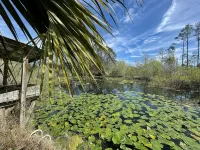 Lily Pad  3 bedrooms and 2 baths - 3-Star