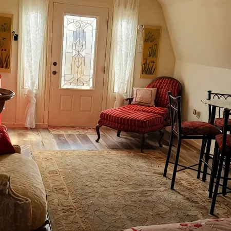 Cozy cabin on a working horse rescue with WiFi, HVAC, plumbed outhouse, shower