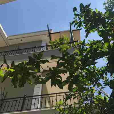 Villa Dorita Luxury Apartments Hotel Exterior