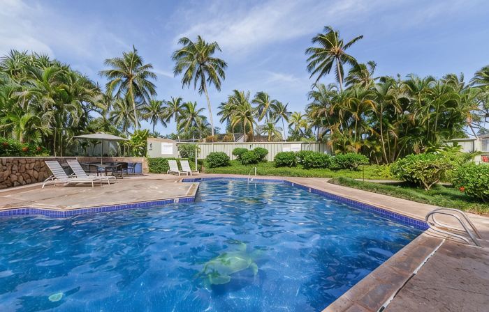 The Turtle Bay Signature