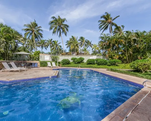 The Turtle Bay Signature Hotels in Kahuku