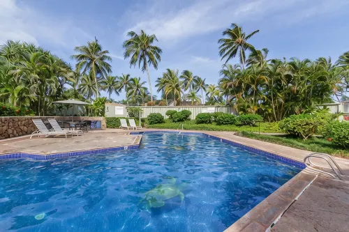 The Turtle Bay Signature
