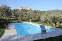 Lovingly Renovated Country House in the Olive Grove with Large Panoramic Pool, Air Conditioning - piscina