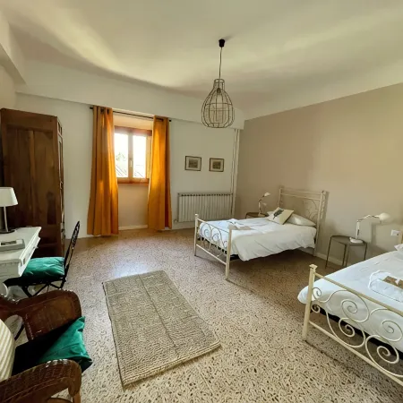 OLIVE TREES - FARMHOUSE ESTATE SAN DONATO