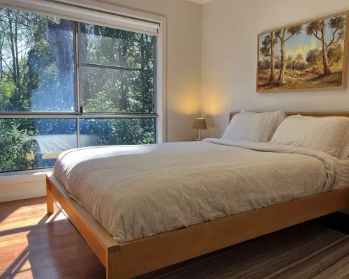 Rainforest retreat near Canyon Lookout & trails, mins to Springbrook wonders Hotels in Springbrook