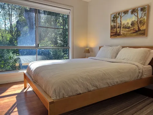 Rainforest retreat near Canyon Lookout & trails, mins to Springbrook wonders - Alojamientos